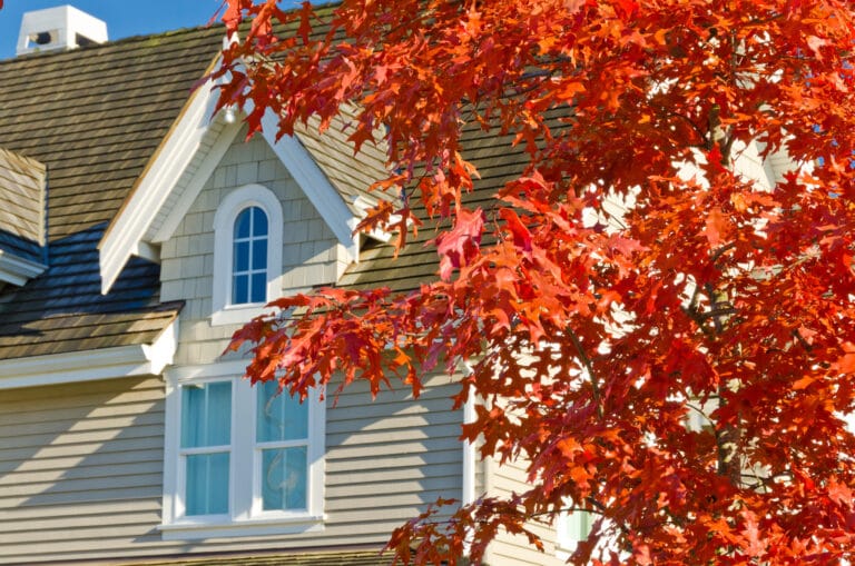 Fragment of a nice house with a beautiful red maple tree in front of it